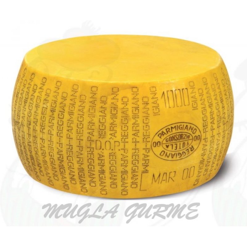 Parmesan Peynir (18 Aylık) kg