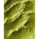 Aroy-D Yeşil Köri Ezmesi (Green Curry Paste) 400 gr